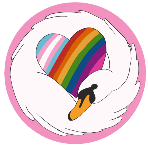 Swansea LGBT+ Society